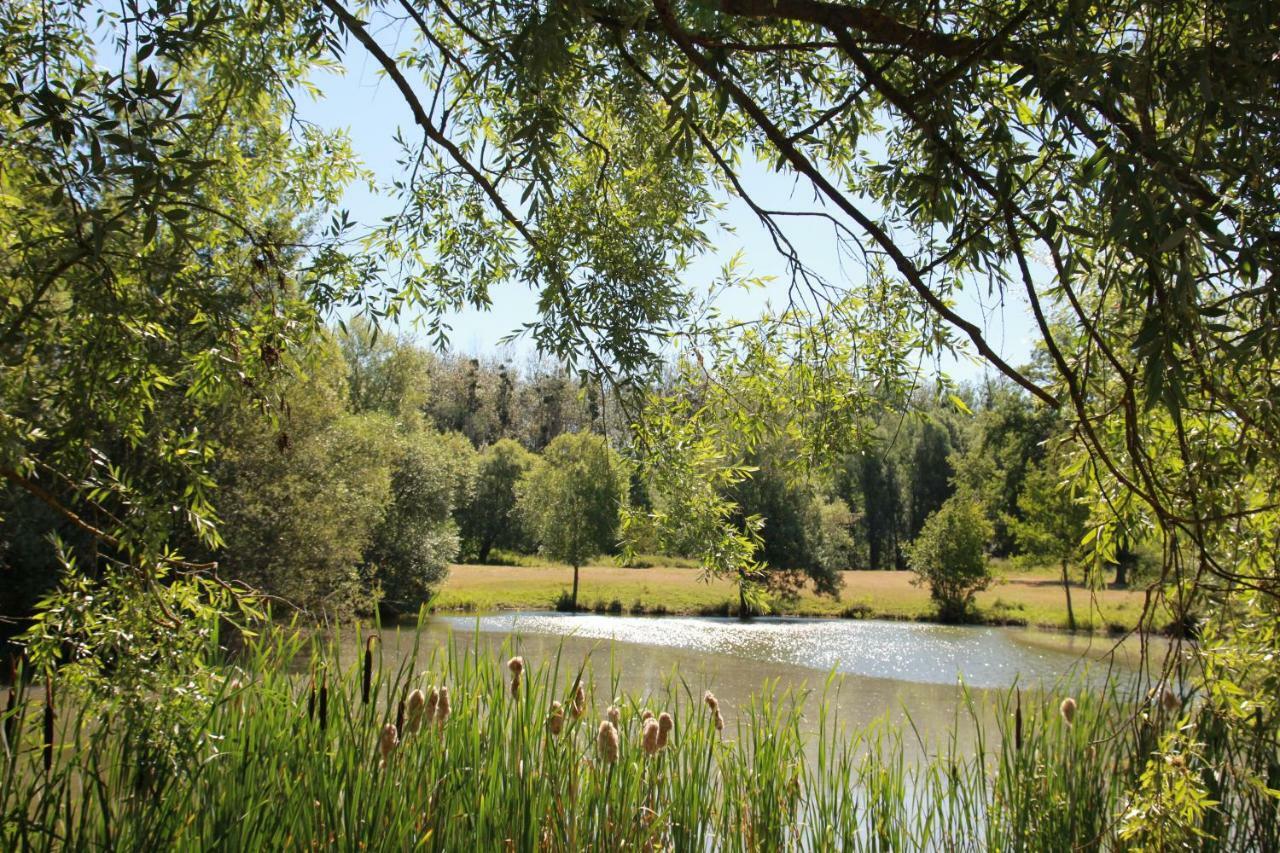 הוילה Écardenville-sur-Eure La Bergerie Du Domaine Des Buissonnets מראה חיצוני תמונה